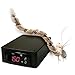 BriskHeat CPSDCJCA-BWH052100LD Dual-Element Heating Tape with Temperature Controller, 0 to 600C, 1/2" x 120", 240 V