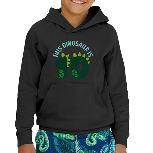 Sweat à capuche enfant confortable dinosaure 10 ans sans irritation - 2