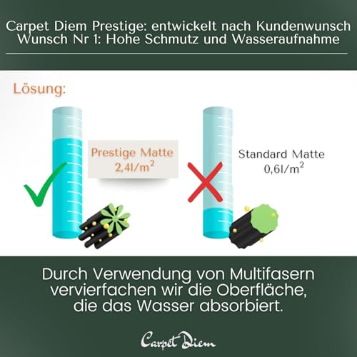 Carpet Diem Prestige Schmutzfangmatte schön und haltbar, Premium Fußmatte innen & außen - Sauberlaufmatte für Eingangsbereich, Flur & Haustür - Beige-Schwarz 40x60 cm