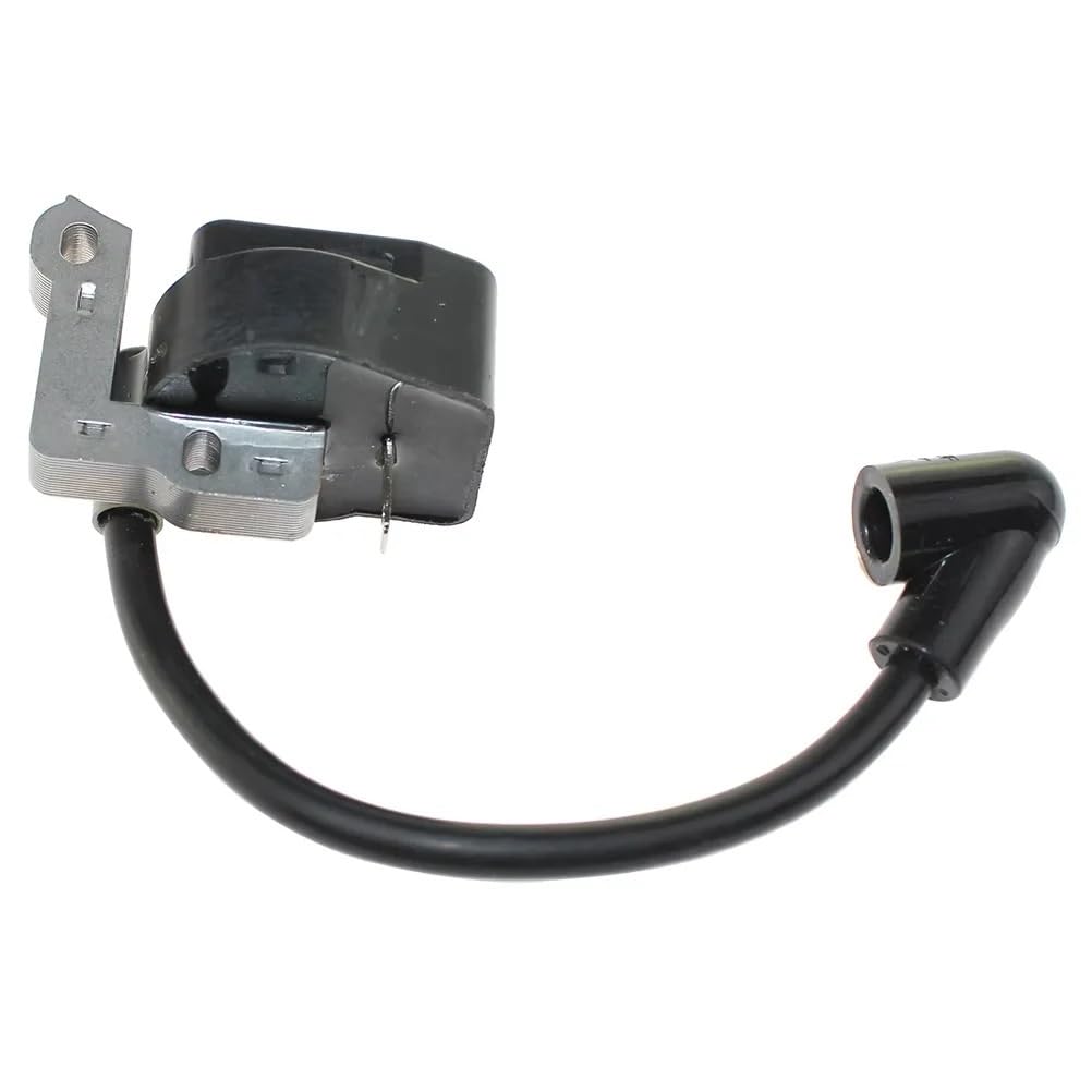 Module d'allumage pour RY30923 et RY30564 bobine de rechange compatible