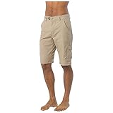 prAna Men's Stretch Zion Shorts