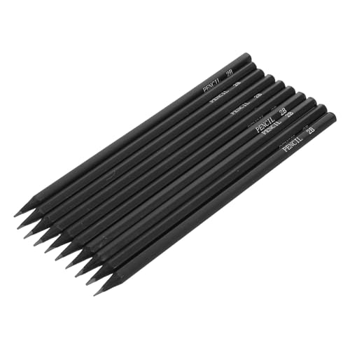 NOLITOY 30 個 用 絵画 鉛筆 描画 鉛筆 スケッチ用 アーティスト 鉛筆 初心者