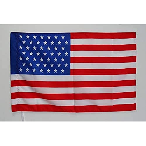 AZ FLAG, United States 1959-1960 49 stars Flag, 2x3 Ft, american historic Banner with Sleeve, 100% Polyester, Fade Resistant