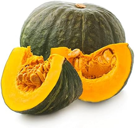 QAUZUY GARDEN 20 Japanese Green Pumpkin Seeds - Kabocha - Open Pollinated Long Shelf Life Heirloom Organic Pumpkin Seeds Vegetables Survival Gear Food Seeds