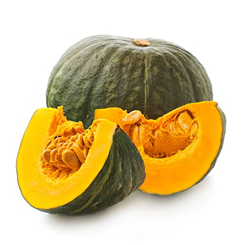 Qauzuy Garden 20 Japanese Green Pumpkin Seeds - Kabocha - Open Pollinated Long Shelf Life Heirloom Organic Pumpkin Seeds Vegetables Survival Gear Food Seeds #TOP10
