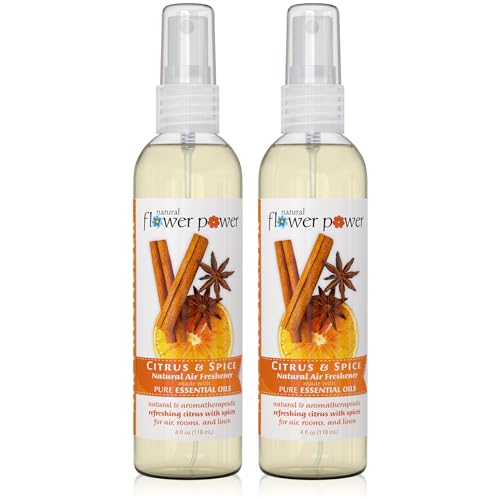 Air Freshener Spray Citrus Spice 4 Fl Oz Pack of 2 Scented wPure Essential Oils Non Aerosol Plant Based Odor Eliminator Room Linen or Car Spray Cruelty Free