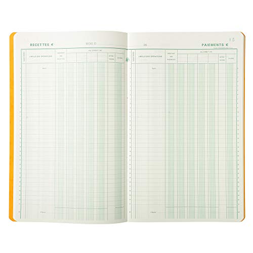 livre Exacompta - Réf. 7500E - 1 Piqûre JOURNAL DE CAISSE OU BANQUE - 2 libellés - 5 Débit et 5 Crédit - 31 lignes - 80 pages foliotées - format 320x195 mm - 4 couleurs aléatoires, jaune, bleu, rouge, vert