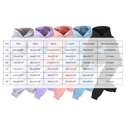 Toddler Kids Sweatsuit Girls Butterfly Print Hoodie and Pants Set Long Sleeve 2Pcs Casual Outfit for 1-8 Years3