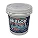 DRYLOK 00919 Fast Plug, 1.5-Pound, Gray