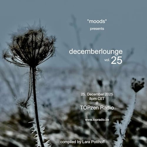 *moods* by Lara Potthoff @ TOPzen Radio 25.12.2025