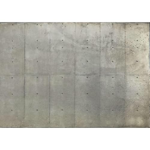 �^�y�X�g���[ �R���N���[�g�A�����K�A�Εǂ̎B�e�w�i ���t���Ǌ|�� �唻 �G�߂� �z�|�X�^�[ �z�e�� �L�b�`�� ���� �� ���� �C���e���A ���͋C�]��(A,73*95)