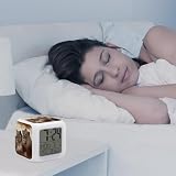 African Lion And Lioness Alarm Clock with 7 Color Changing Night Light