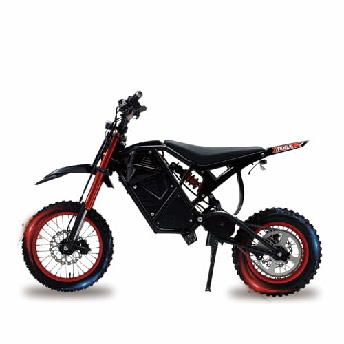 Hettor Electric Dirt Bike for Teens Adults, 48v23ah Battery, 6