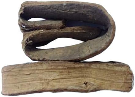 Walnut Tree Peel/अखरोत छल/Dandasa/Datun/Juglans Regia Linn Akhrot Chhal (100 Gms)