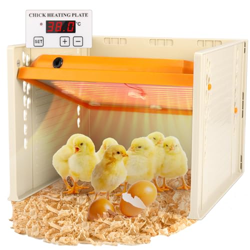 Chick Brooder Heating Plate, Brooder Heater For Chicks, Egg Incubator with Adjustable Height and Angle, Intelligent Chicken Heat Lamp, Warmer for 15 Baby Chick & Duckling, Like Mother Hen, 10x10"