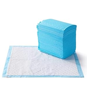 Amazon Basics Dog and Puppy Pee Pads with Leak-Proof Quick-Dry Design for Potty Training, Heavy Duty Absorbency, Regular Size, 24 x 23 Inches, Pack of 50, Blue & White