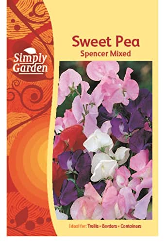Simply Garden Sweet Pea Spencer Mixed Seeds for Planting UK 