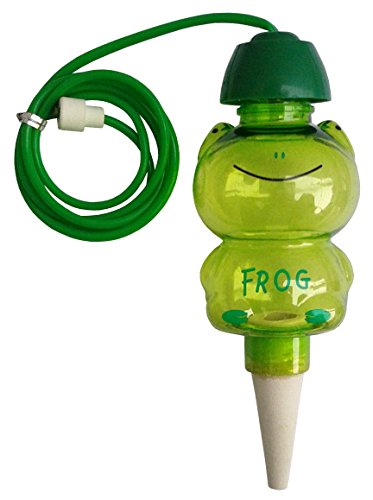 水やり当番 カエル君ミニ