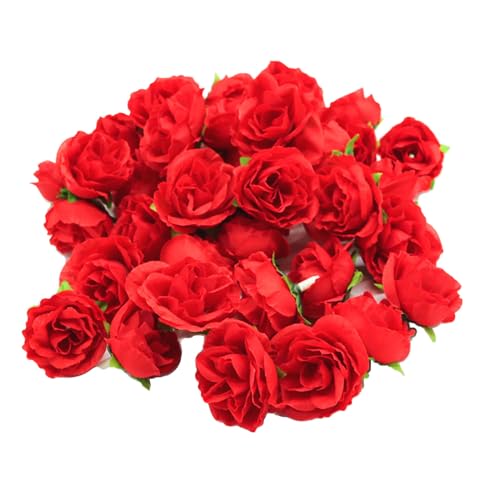 KN ~jo ԑ  50 3cm ԕ̂ Ԃт Bep a   (50, bh) [sAi]