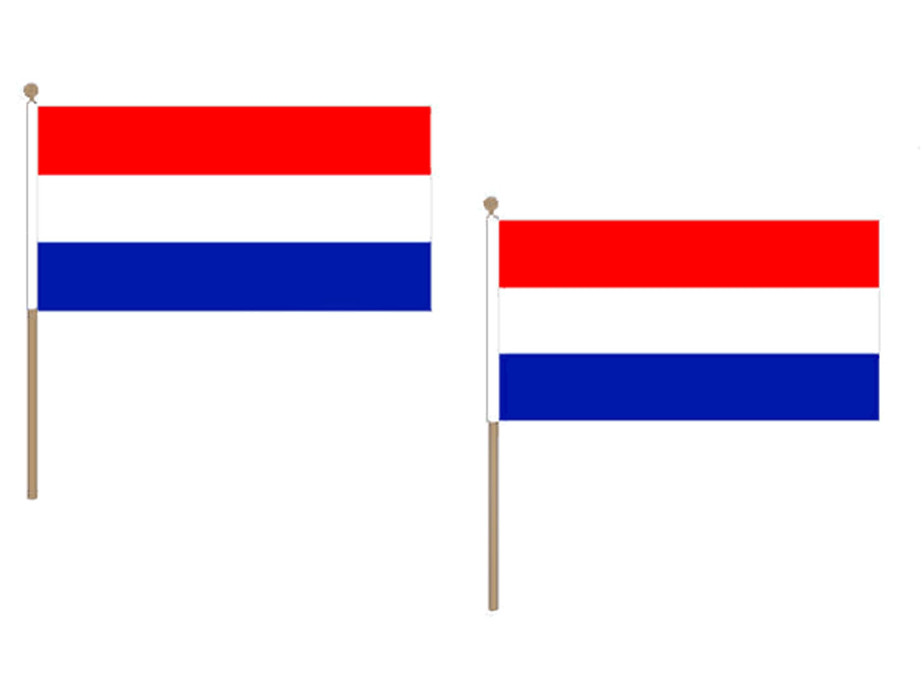 Drapeau Pays-Bas 45x30cm avec hampe en bois rigide et toile résistante AZ FLAG