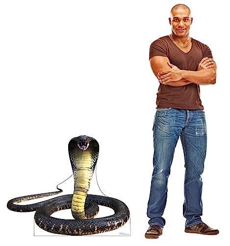 Image of Cardboard People King Cobra Snake Life Size Cardboard Cutout Standup - Made in USA