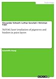 laser nd yag para manchas  Nd-YAG laser irradiation of pigments and binders in paint layers (English Edition)