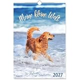 Meine kleine Welt 2027: Tierkalender mit Bibelworten