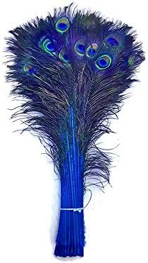 Peacock Feathers, 100 Pieces 20-25" Natural Peacock Tail Eye Feathers, Royal Blue