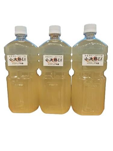 yoNeA{܁zYEX Zx򉻕oNeAt PSB/o`Xی (3L)