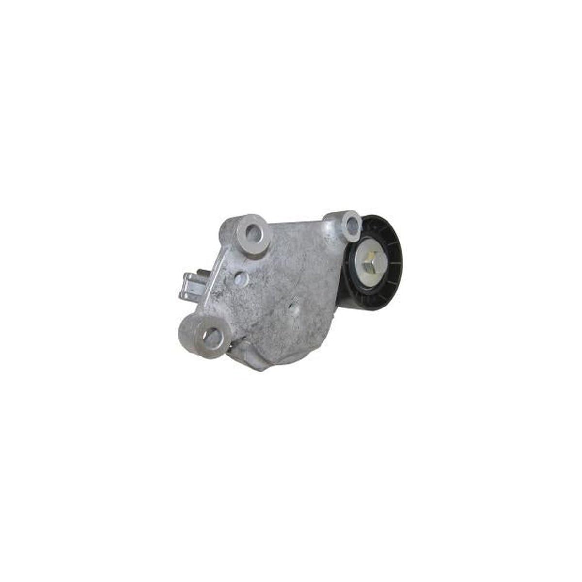 DAYCO APV1076 Tenditore Automatico