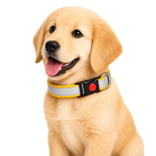 Image of Reflective Dog Collar, Quick Release Buckle, Adjustable Size | for 14-23 Kilograms Dogs (M, Yellow)