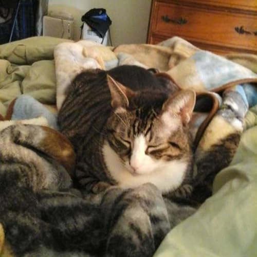 The Sour Report cover art