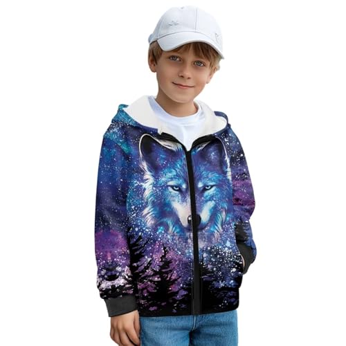 Little & Big Boys Zip Up Hoodie,Lightweight Thickened and Warm Kids Full Zipper Hooded Fashion Sweatshirt2