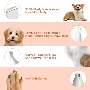 Dog clippers grooming kit with nail grinder 4 in 1 low noise dog clippers for grooming cordless dog paw trimmer washable attachment heads pet hair clippers for small dogscatsrabbit   cucciolini doodles