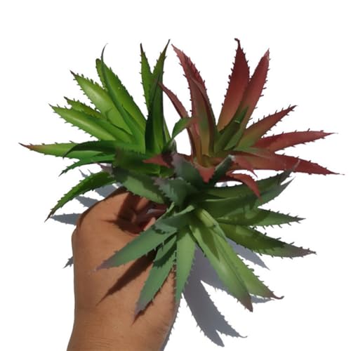 OUNONA lHA A tFCNAG vX`bN CeAp Ή rO ItBX p[eB[fR[Vp 3