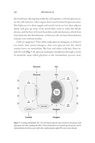 Image of Metabolical: The Lure and the Lies of Processed Food, Nutrition and Modern Medicine―Unpacking the Science Behind Food and Health