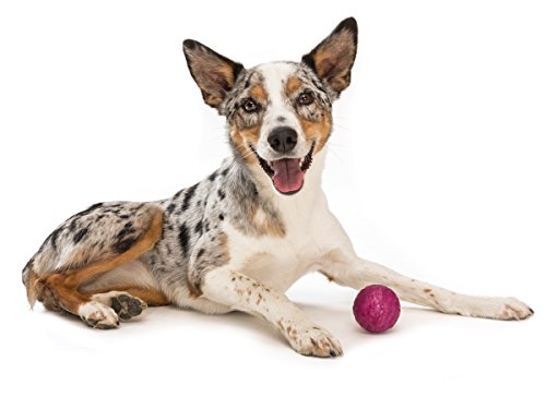 West Paw Zogoflex Air Boz Dog Toy – Floatable Pet Ball for Dogs, Fetch, Play, Chewing – Non-Toxic, Recyclable, Latex-Free Canine Toys – Durable Exterior Texture, Bouncy Squishy Ball, Small, Peacock