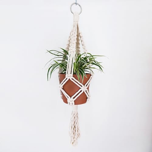 QUARKZMAN 4 Stück Rundringe 40mm 50mm AD 201 Edelstahl O-Ring 3mm dicke geschweißte