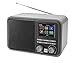 Produktbild Dual,75299,DAB AA851 Digitalradiomit Akku undBluetooth, DAB+ / UKW, MP3,USB-/SD-Anschluss, Farbdisplay, AUX-In, Senderspeicher, Teleskopstabantenne, Grau