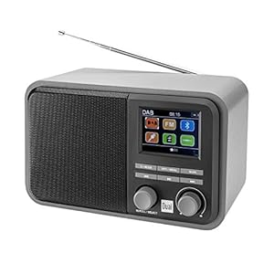 Dual DAB 51 digitale radio met accu en Bluetooth, DAB+/FM, MP3, USB-/SD-aansluiting, kleurendisplay, AUX-in, zendergeheugen, telescopische antenne, grijs