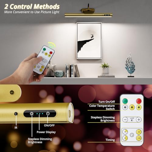 Luzes de parede para parede, luz de imagem de 35,56 cm operada por bateria com controle remoto, temp