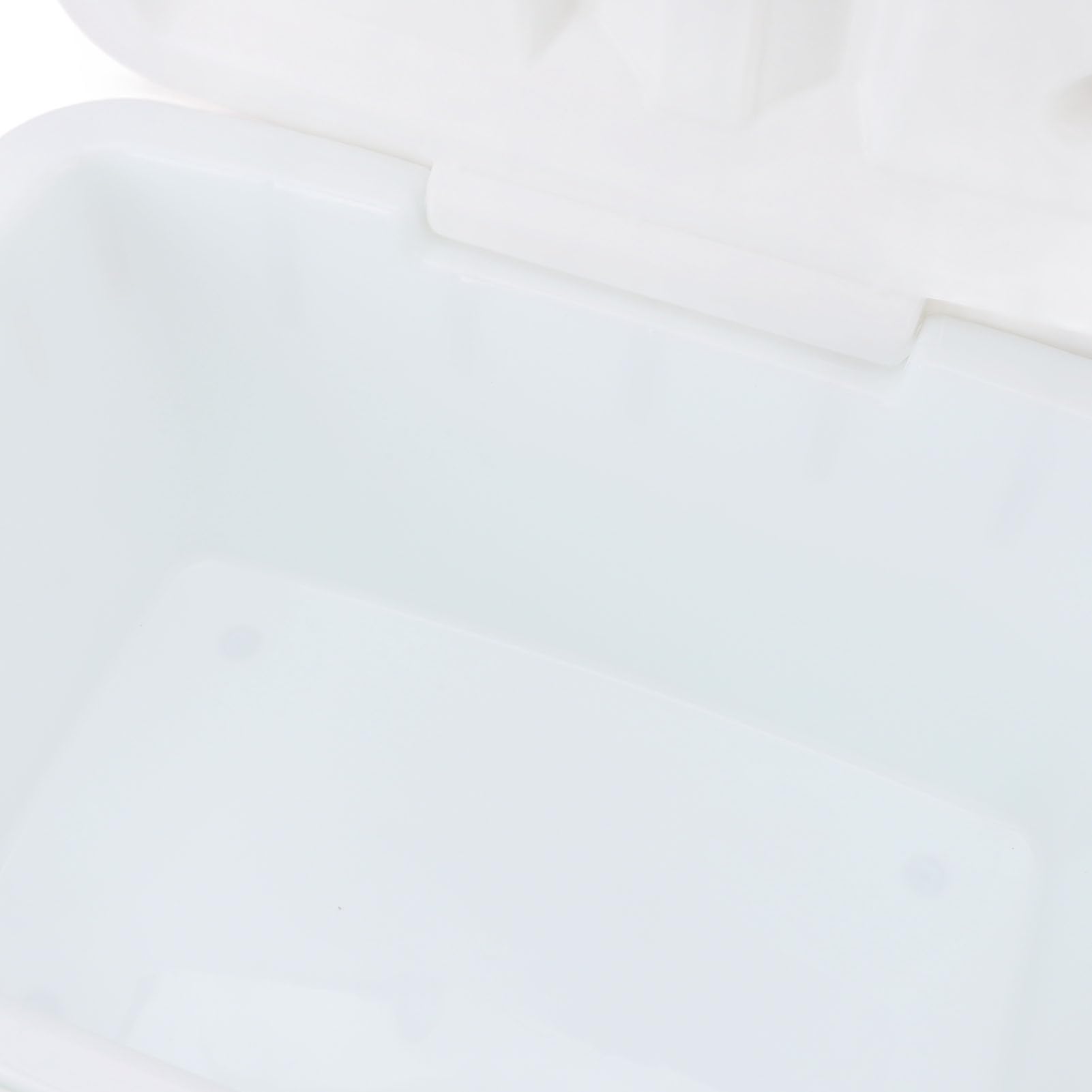 Denash Glacière Isolée Portative Efficace de 8L pour la Boisson de Plage de Pique-Nique de Camping, Matière Plastique Inodore