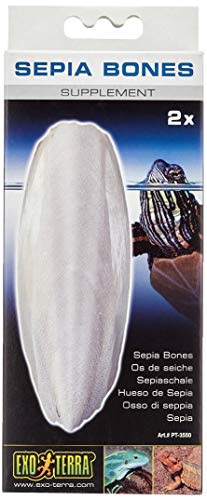 Exo Terra Sepia Bowl para Tortuga, Paquete de 2