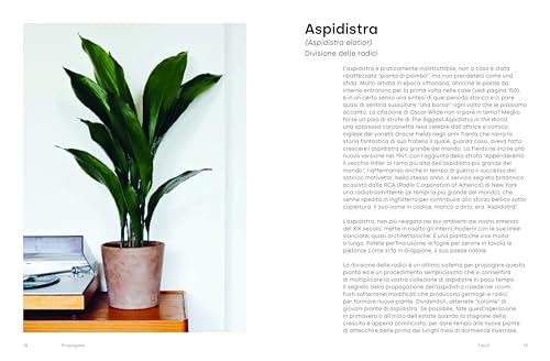 Propagare. Come Moltiplicare Le Piante Da Interno - 4