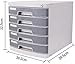 WANGJISSA 5-Layer Locking File Cabinet, Large Storage Space for Documents, Grey Plastic, Desktop Organizer, A4 File Storage, 302x395x325mm