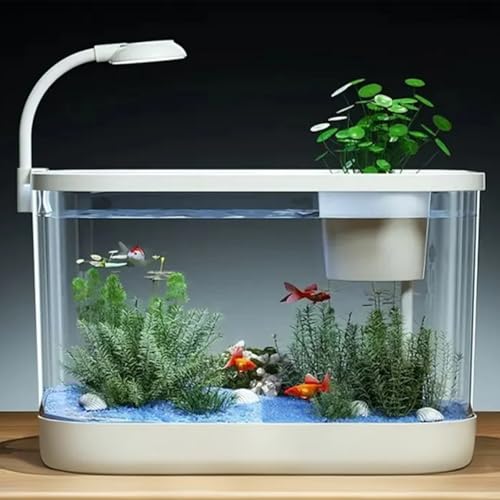 熱帯魚 水槽セット 初心者向け」の人気商品一覧 | 安い商品を