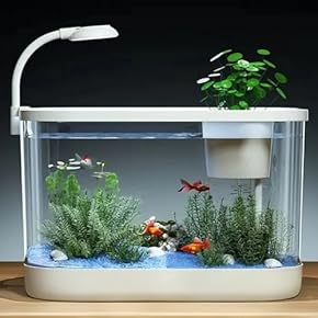 水槽 - Amazon.co.jp