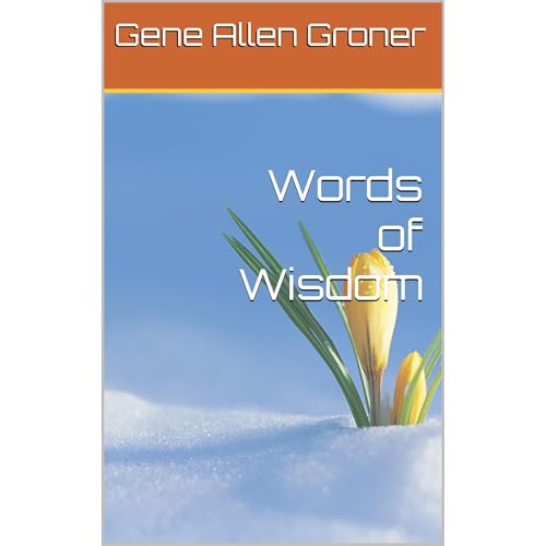 Words of Wisdom Audiolibro Por Gene Allen Groner arte de portada