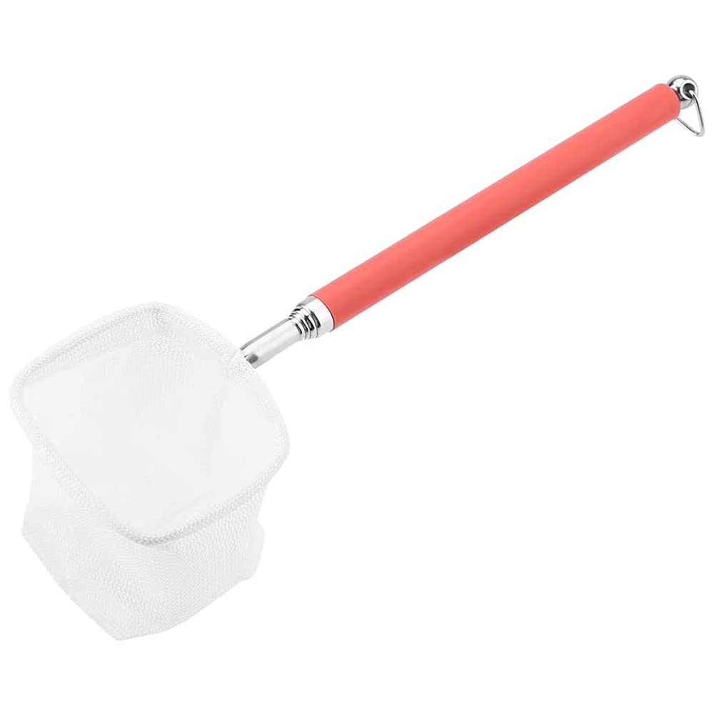 Petit filet télescopique pour poissons d'aquarium avec poignée extensible de 18 à 53 cm de long pour aquarium Betta (carré, rouge)