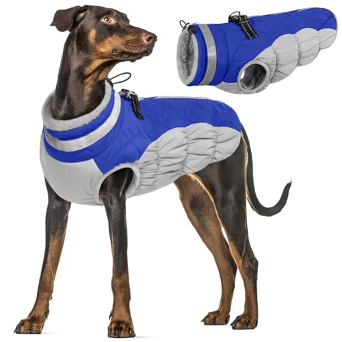Cappotto Impermeabile per Cani Taglia Grande - Giacca Calda Invernale, Giubbotto Termico Piumino (Blu, XL)